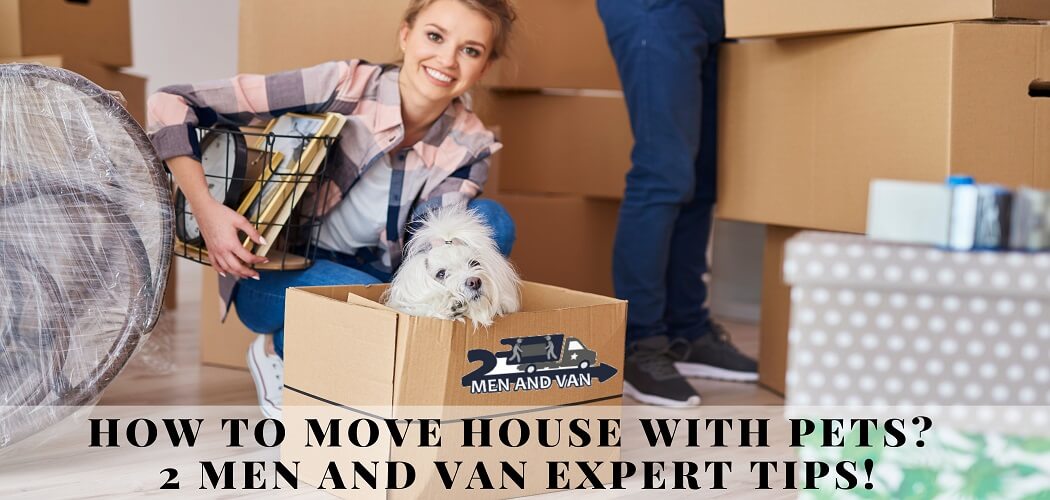 How to Move House with Pets? 2 Men and Van Expert Tips!